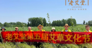 老艾堂第五届艾草文化节：全产业链优势，真艾传承，助力百姓健康