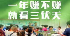 三伏定全年！2026艾灸加盟行业的下一个财富风口，为何在这里？