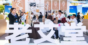 LV 重金入局、王祖贤硅谷开灸馆，艾灸加盟创业风口该如何抓住？