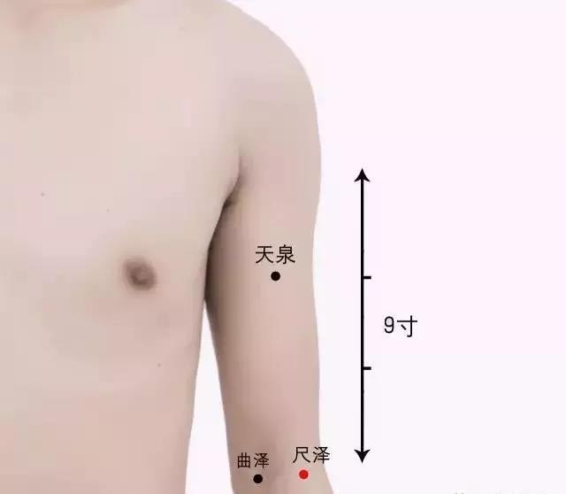 老艾堂 艾灸技术 老艾堂 艾灸技术