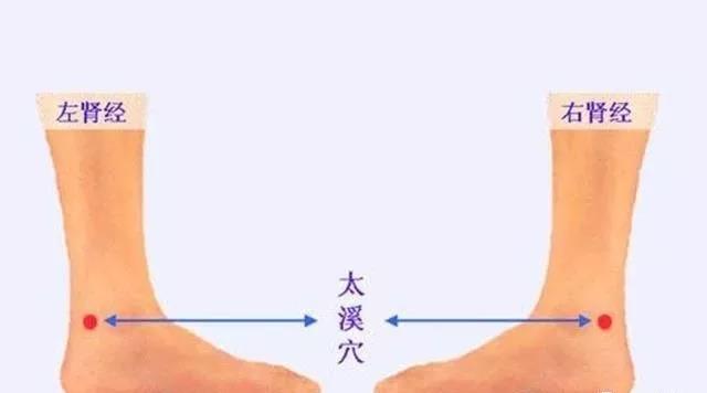 老艾堂 艾灸技术 老艾堂 艾灸技术