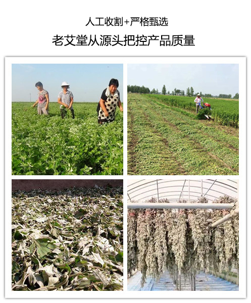 艾灸养生馆加盟 艾灸养生馆加盟