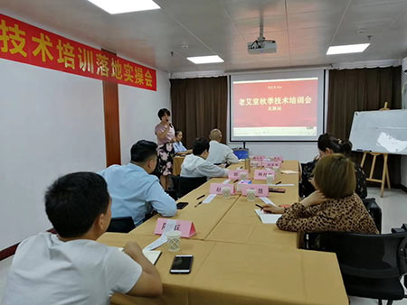 老艾堂扶持 老艾堂扶持